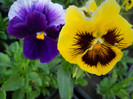DSCN2531