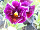 DSCN2537