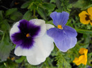 DSCN2540