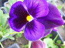 DSCN2543