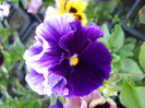 DSCN2548