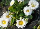 DSCN2549