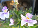 DSCN2553