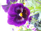 DSCN2554
