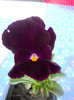 DSCN2556