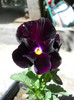 DSCN2558