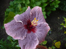 P1130146