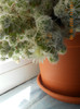 DSCN0836