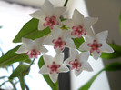 DSCN8404