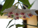 DSCN8407