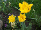 DSCF1302