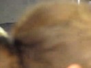 bscap0141