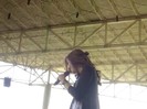 bscap0081