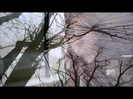 Demi Lovato - Stay Strong Premiere Documentary Full 36486