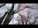Demi Lovato - Stay Strong Premiere Documentary Full 36492