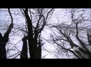 Demi Lovato - Stay Strong Premiere Documentary Full 36550