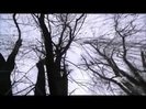 Demi Lovato - Stay Strong Premiere Documentary Full 36553