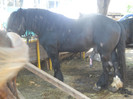 DSCN4093