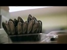Demi Lovato - Stay Strong Premiere Documentary Full 36578