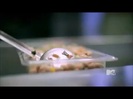 Demi Lovato - Stay Strong Premiere Documentary Full 36614