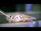 Demi Lovato - Stay Strong Premiere Documentary Full 36619