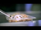 Demi Lovato - Stay Strong Premiere Documentary Full 36621