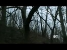 Demi Lovato - Stay Strong Premiere Documentary Full 36826
