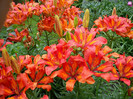 DSC01108