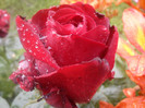 DSC01118