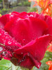 DSC01119
