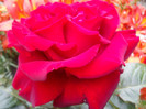 DSC01128