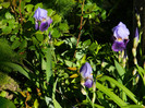 DSCN3813