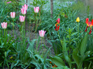 DSCN3829