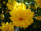 DSC01236