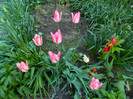 DSCN3832