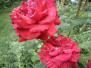 DSC01263