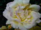 DSC01265