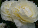 DSC01267