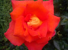 DSC01269