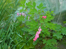 DSCN3835