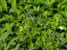 DSCN3839