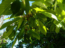 DSCN3845