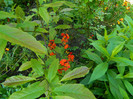 DSCN3846