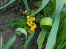 DSCN3847