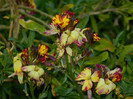 DSCN3849