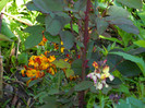 DSCN3850