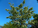 DSCN3853