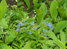 DSCN4002