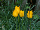 DSCN4051