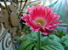 DSCN4057